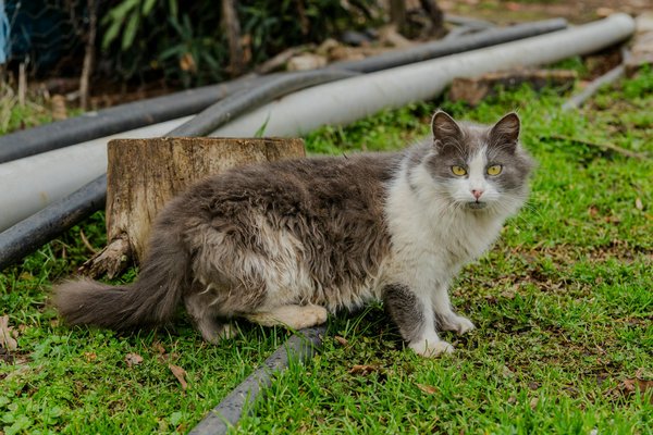 Comment choisir les meilleures tenues de sport pour une grossesse active ?